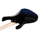 RG421DX_TWS_1P_01_I.webp