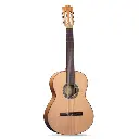 ALHAMBRA 2 F GUITAR 2 F W/PICK GUARD