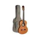 ALHAMBRA 6 WHITE EBONY V GUITAR 6 WHITE EBONY with (9,738) SOFT BAG