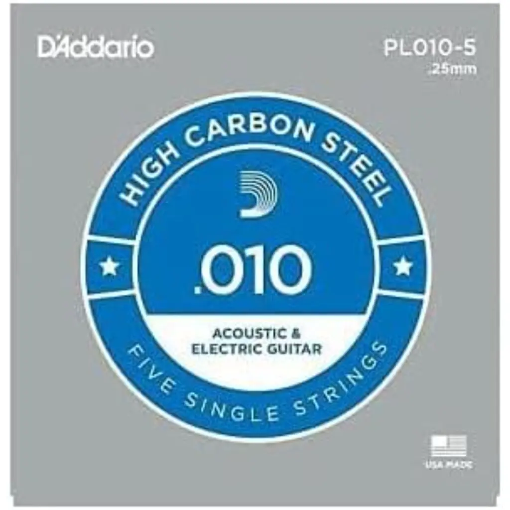 [PL010-5] DADDARIO PL010-5 5-PACK SINGLE PLAIN STEEL 010