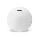 EVANS B14HW 14" HEAVYWEIGHT CTD           