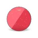 EVANS TT08HR TOM BATTER HEAD