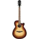 IBANEZ AEG50-DHH ELECTRIC AC. GUITAR