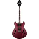 IBANEZ AS53-TRF HOLLOW BODY ELECTRIC GUITAR