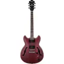 IBANEZ AS53-TRF HOLLOW BODY ELECTRIC GUITAR