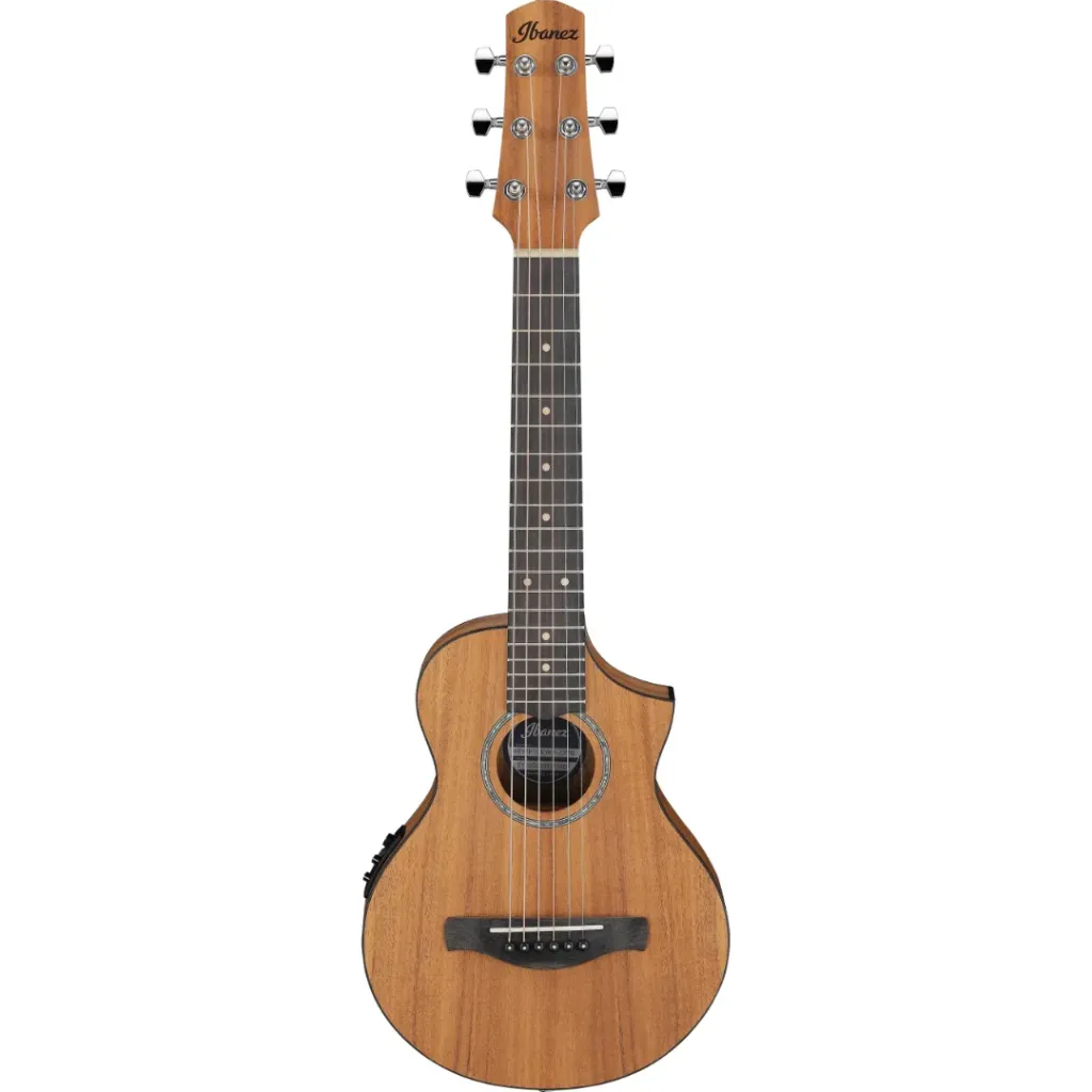 [EWP12EWB-OPN] IBANEZ EWP12EWB-OPN  ACOUSTIC GUITAR W/BAG