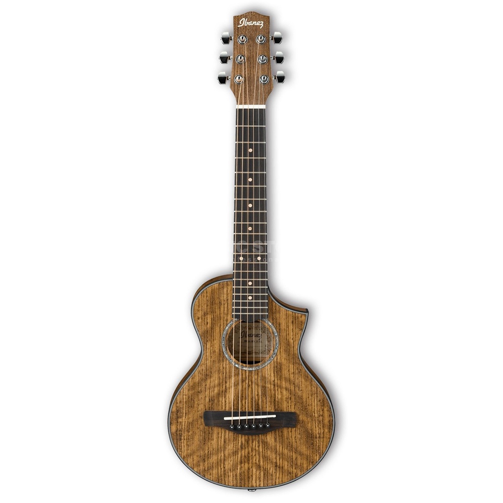 IBANEZ EWP14WB-OPN ACOUSTIC GUITAR