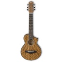 IBANEZ EWP14WB-OPN ACOUSTIC GUITAR