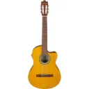 IBANEZ GA3ECE-OAM ELECTRIC GUITAR
