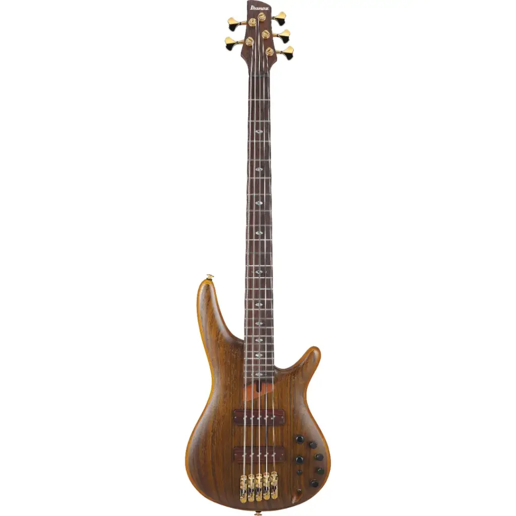 IBANEZ SR5505-MHF ELECTRIC 5-ST.BASS WITH CASE