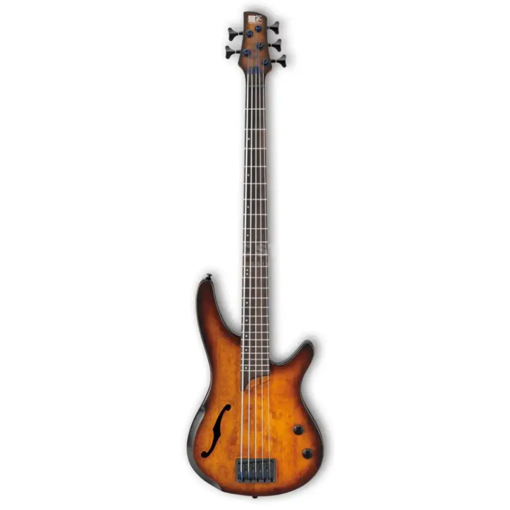 IBANEZ SRH505-DEF ELECTRIC BASS GUITAR 5ST