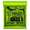 Ernie Ball P02836 REGULAR SLINKY 5-STRING NICKEL WOUND ELECTRIC BASS STRINGS - 45-130 GAUGE