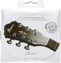 IBANEZ IACS62C 80/20 Bronze acoustic guitar strings (11-52)