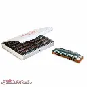 Suzuki HARMONICA 1072 FOLKMASTER 12PCS SET