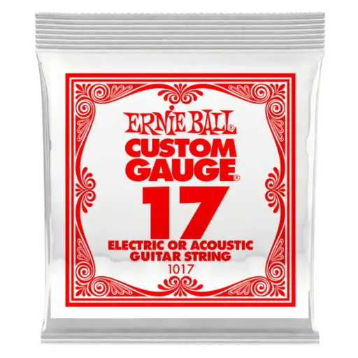 [P01017] Ernie Ball P01017 .017 PLAIN STEEL ELECTRIC OR ACOUSTIC GUITAR STRINGS 6 PACK  