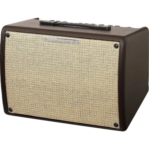 [T30II-U] Ibanez T30II-U Troubadour Combo Amplifier for Acoustic Guitar - 30 Watt